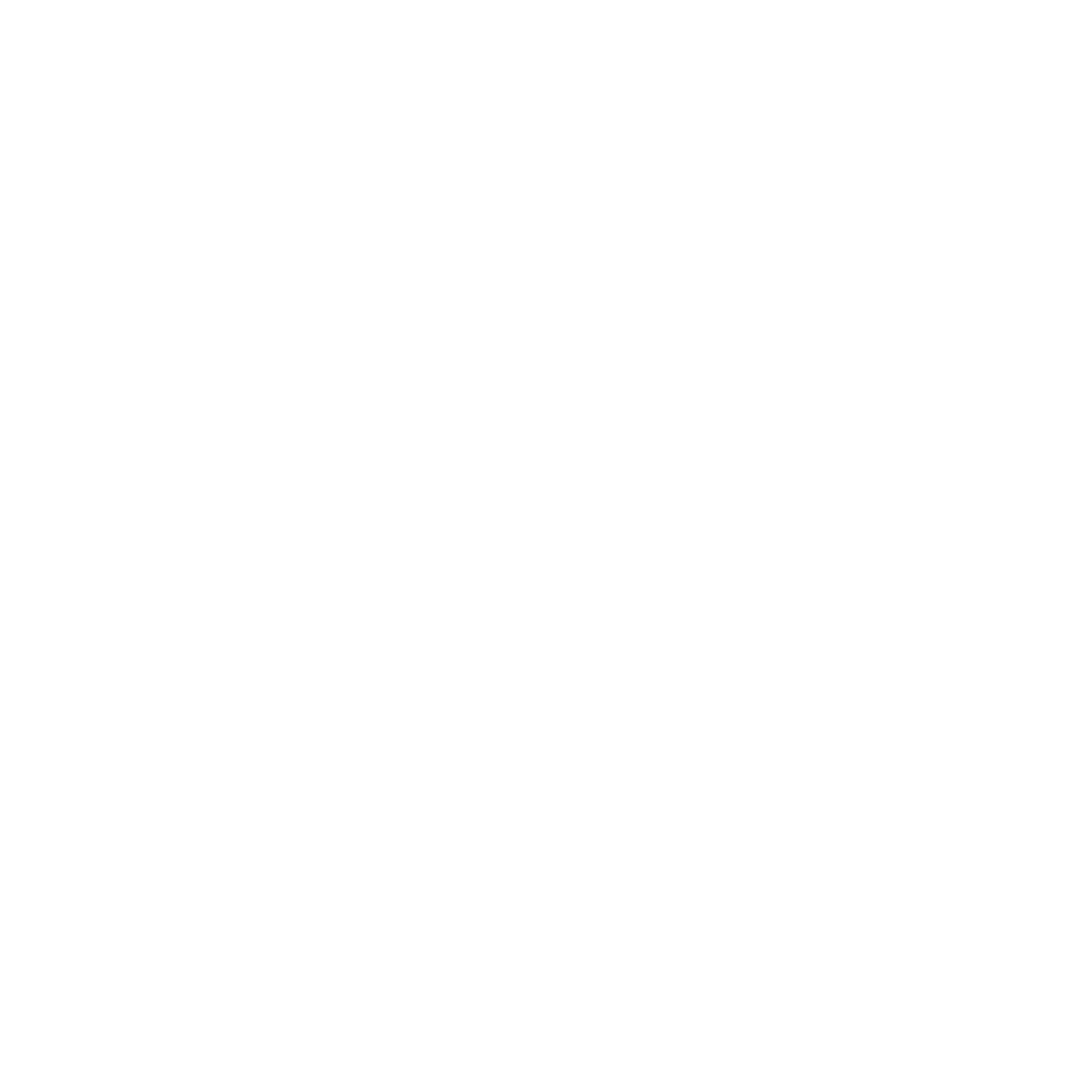The Digital Company